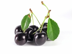 Forest Cherry Brandy Liqueur KEGZ