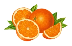 Orange Burst Liqueur KEGZ