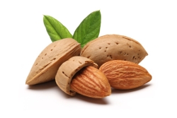 Pressed Almond Liqueur KEGZ